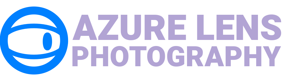 Portfolio Logo