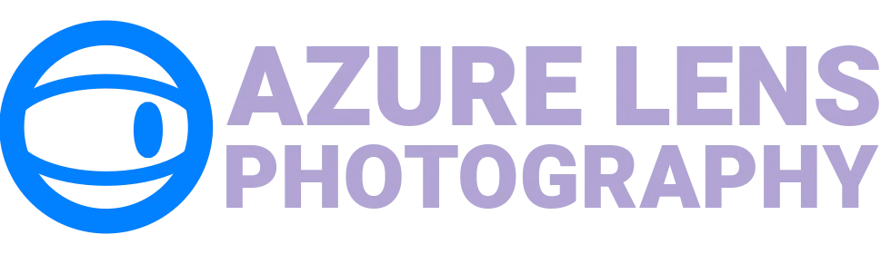 Portfolio Logo