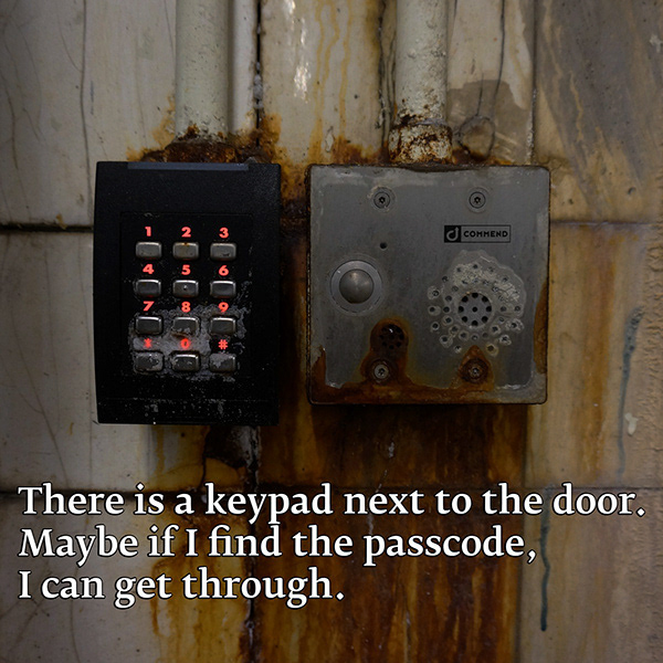 Miscellaneous photography 9